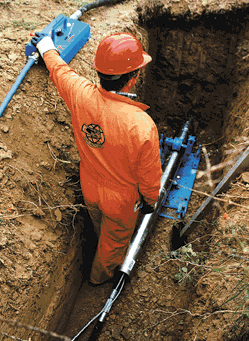 Moling Services